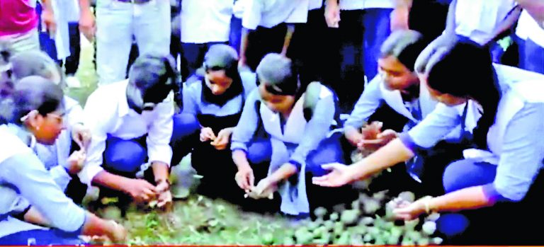विद्यार्थियों ने की पर्यावरण बचाने की अनोखी पहल