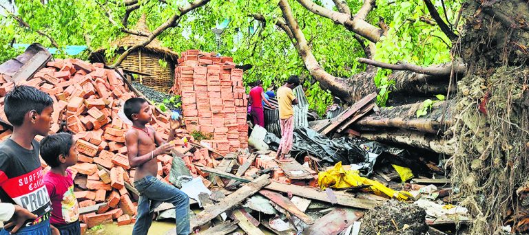 धोबवल में तेज आंधी के साथ हुई बारिश से पीपल का पेड़ गिरा, चार घायल