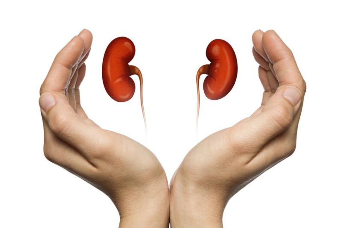 Kidney stone