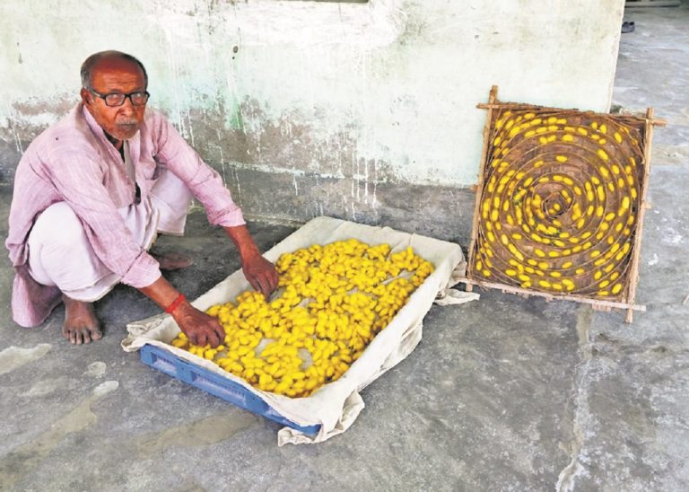 Supaul News : मलबरी की खेती को मिले बढ़ावा, तो सूबे में लहरायेगा कौशिकी ब्रांड रेशम का परचम