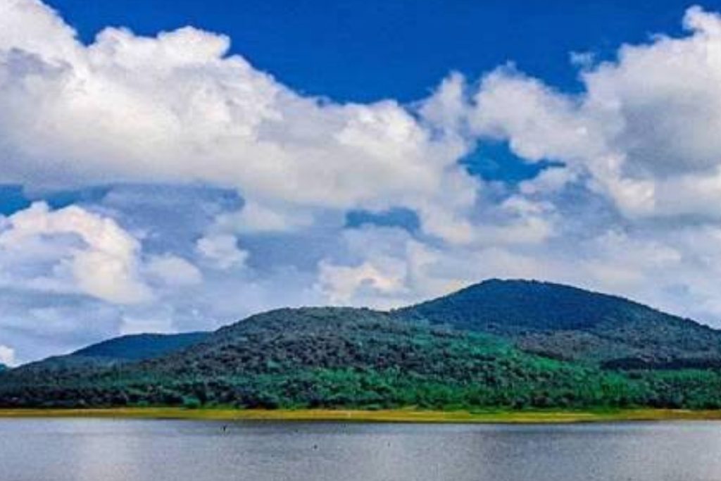an image