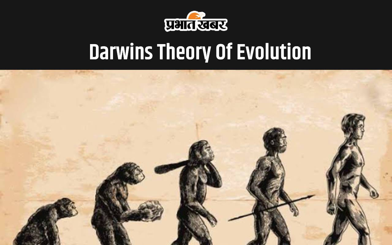 Darwin's Theory of Evolution