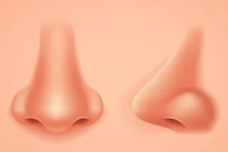Personality trait: नाक के आकार से जाने लोगों का व्यक्तित्व
