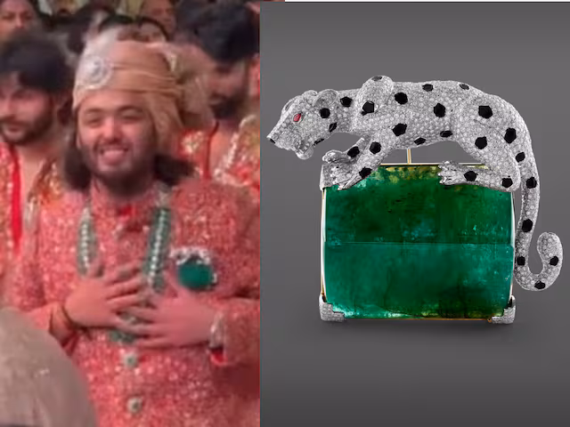 Anant Ambani Panther Brooch