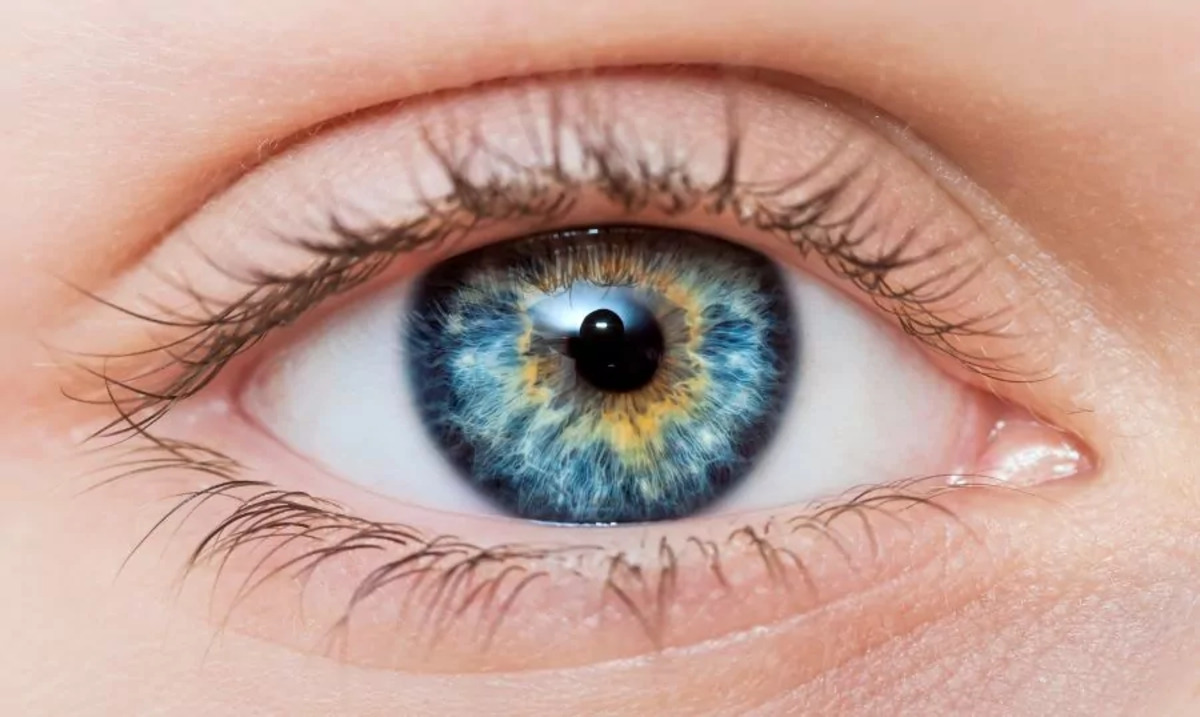 eye health