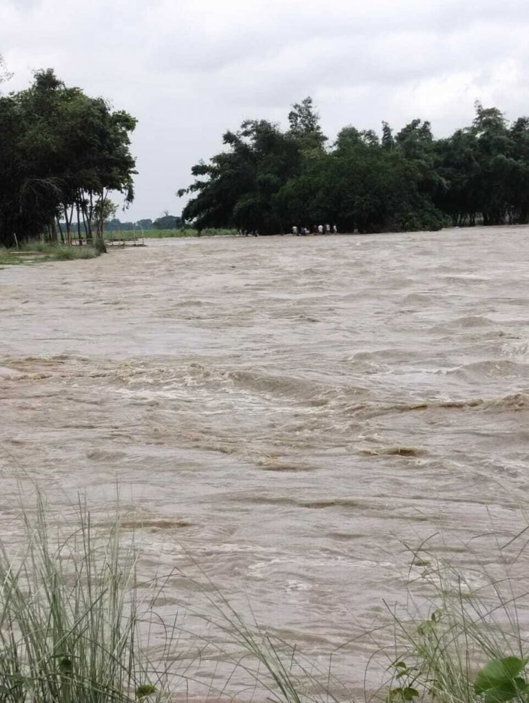 धांधली में नगर निगम के टैक्स कलेक्शन एजेंसी का अनुबंध रद्द, ईंधन की अत्यधिक खपत पर हंगामा