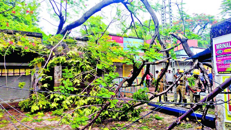 लगातार बारिश से कई पेड़ गिरे, यातायात बाधित