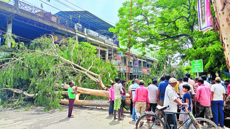 बरसात के बाद डाकबंगला रोड में गिरा पेड़, चपेट में आने से दो राहगीर जख्मी