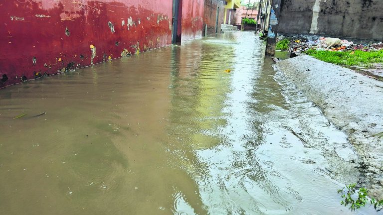 लगातार हो रही बारिश से शहर ताल-तलैया में तब्दील