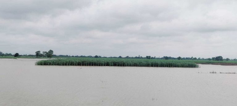 त्रिवेणी कैनाल का उत्तरी बांध कई जगह ध्वस्त, सिकटा नदी का पश्चिमी तटबंध भी टूटा