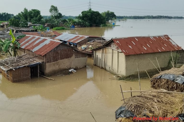 अमौर प्रखंड में बाढ़ से मची तबाही, गांवों संपर्क भंग, कई घर ध्वस्त