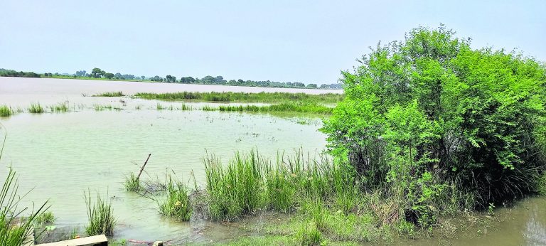 सरयू व बूढ़ी गंडक खतरे के निशान से 13 सेमी नीचे