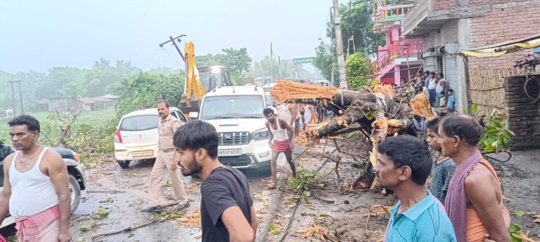 एनएच 80 पर गिरा विशालकाय वट वृक्ष, आवागमन बाधित