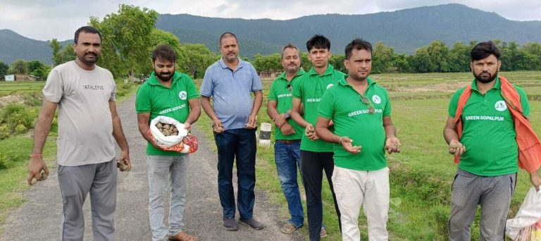 प्रकृति प्रेमियों ने एक हज़ार से अधिक बीज बॉल्स को सड़क किनारे डाले