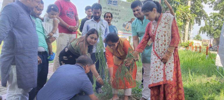 जीवन के लिए पेड़-पौधे लगाना अनिवार्य : एसडीओ