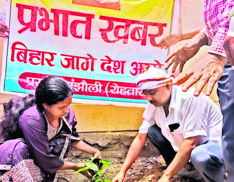 पौधा लगाने से नया जीवन व स्वच्छ पर्यावरण मिलेगा : सीओ