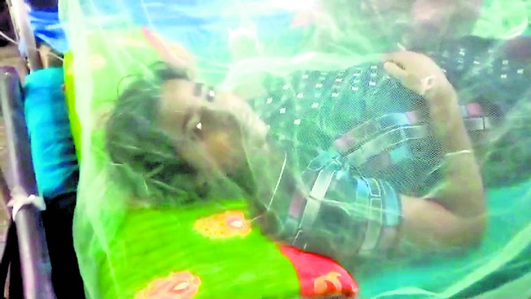 पुरुलिया में मिले डेंगू के 18 मरीज