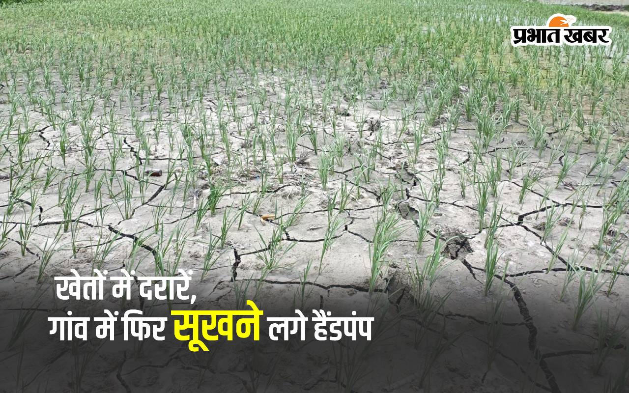 muzaffarpur news