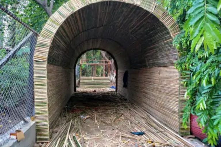 पटना में असम के ‘मुरली बांस’ से बनाई जा रही पहली ओपन नेचर लाइब्रेरी, हरियाणा से बुलाये गए कारीगर