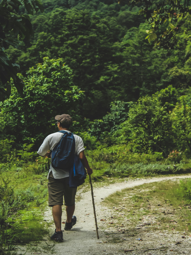 Best Monsoon Trek In India