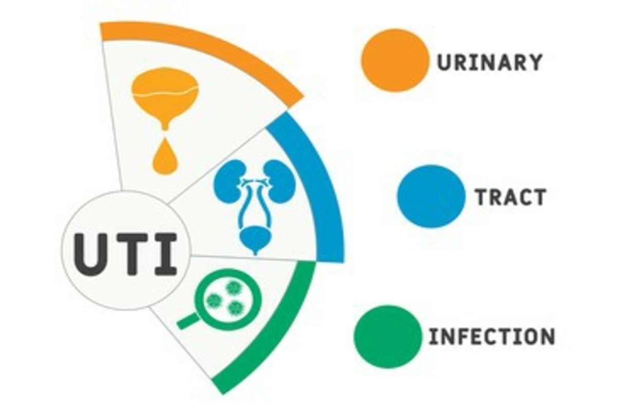 urinary tract infection in women
