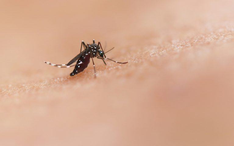 Zika Virus: अगर दिखाई दे रहे हैं ये लक्षण तो हो जाएं सावधान, जीका वायरस का हो सकता है खतरा