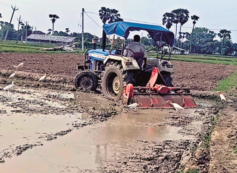 Banka News : वर्षा होते ही कृषि कार्य में आयी तेजी, धान की नर्सरी तैयार करने में जुटे किसान