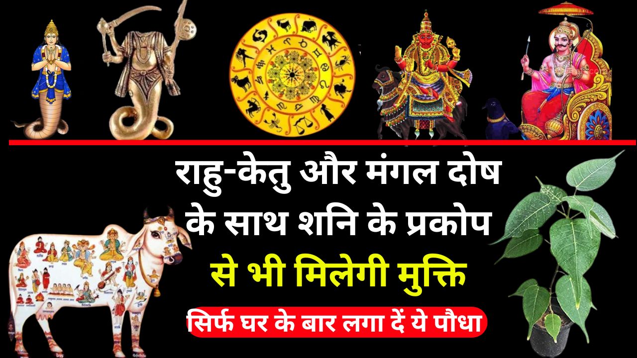 राहु-केतु और मंगल दोष के साथ शनि के प्रकोप से भी मिलेगी मुक्ति
