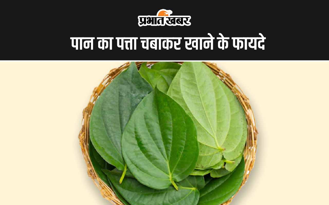 Betel Leaf Benefits