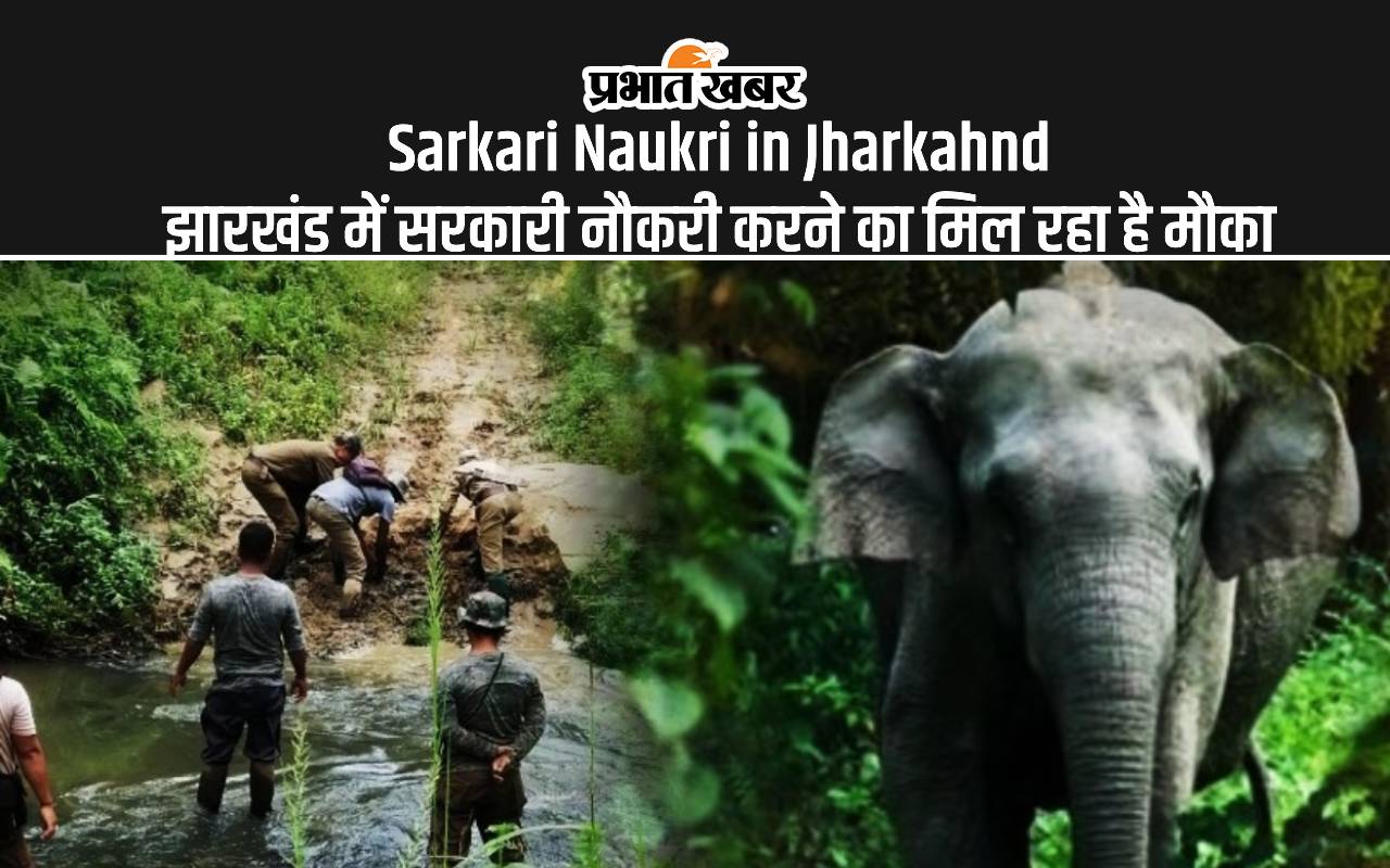 Sarkari Naukri in Jharkahnd झारखंड में सरकारी नौकरी करने का मिल रहा है मौका