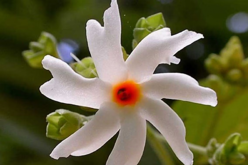 an image