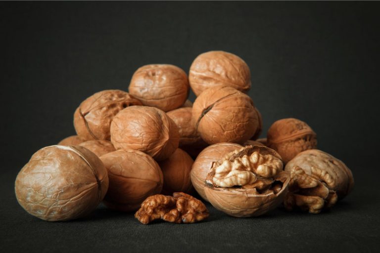 Walnut : अखरोट खाने के 5 सेहतमंद फायदे