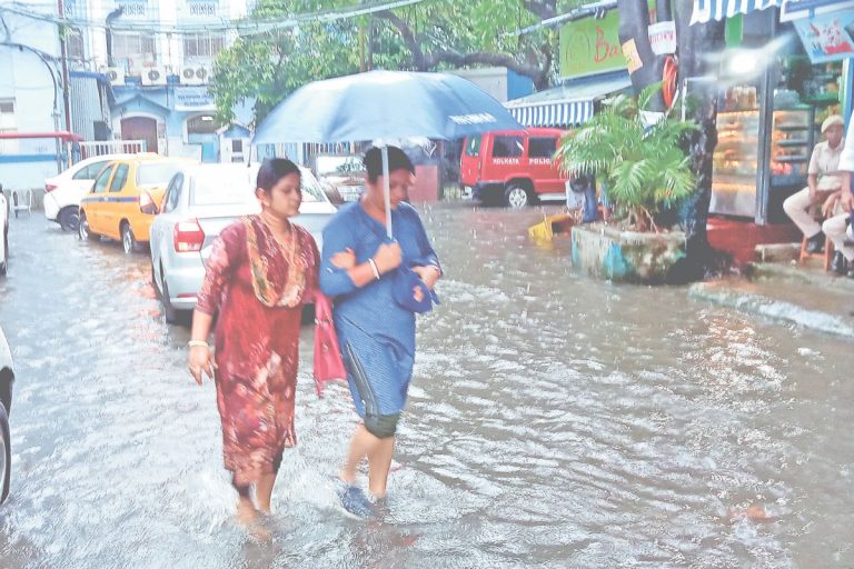 झमाझम बारिश से किसानों में लौटी खुशी, धान की खेती फिर से जोर पर