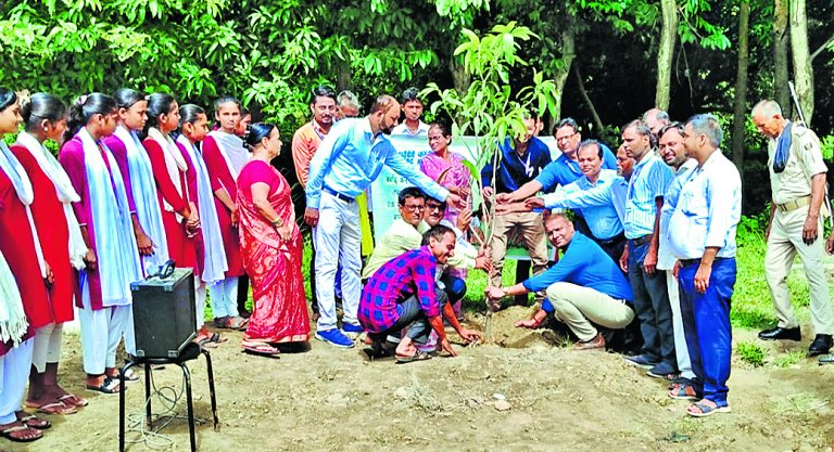 हेल्दी लाइफ व पर्यावरण संरक्षण को ले पौधरोपण जरूरी