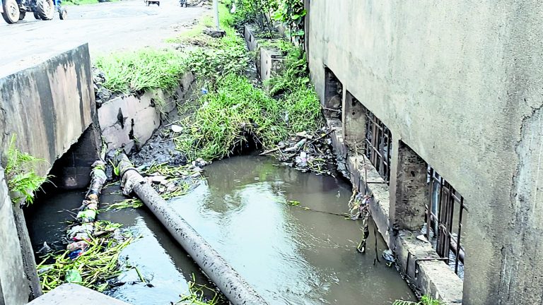 दखल से नाले में बदल गयी है सिंघारन नदी