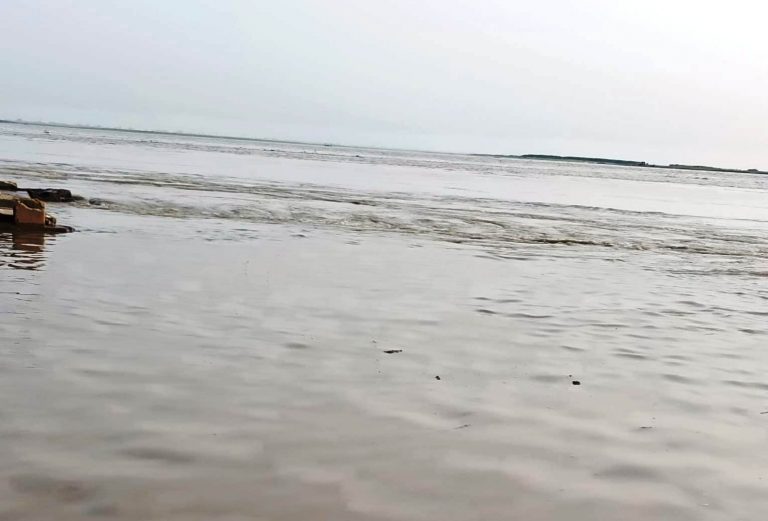 बाढ़ की तैयारियों में लापरवाही पर होगी कड़ी कार्रवाई : डीएम
