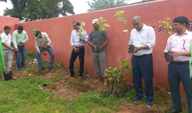 पर्यावरण संतुलन के लिए पौधरोपण करना जरूरी: डीडीसी