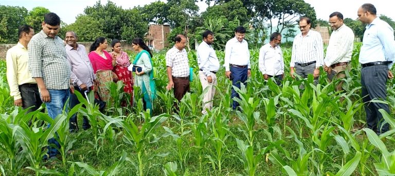 खरीफ फसलों में मड़वा की खेती से किसानों को जोड़ने की जरूरत : निदेशक