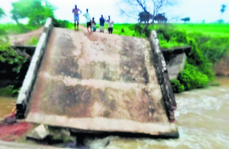 ध्वस्त पुल में फंसने से दो दुधारू भैंसों की मौत