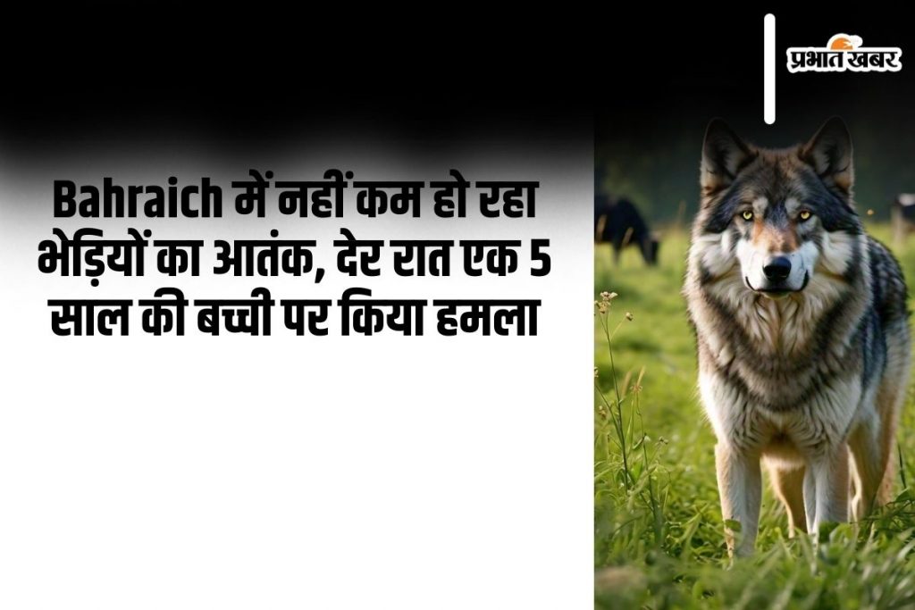 an image