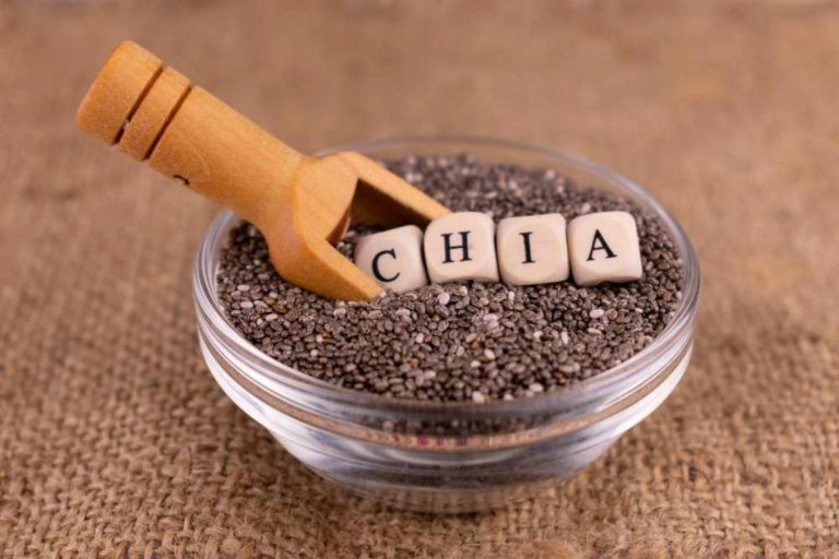 Chia Seeds : सेहत के बड़े-बड़े मसले सुलझाते हैं, यह छोटे-छोटे बीज..