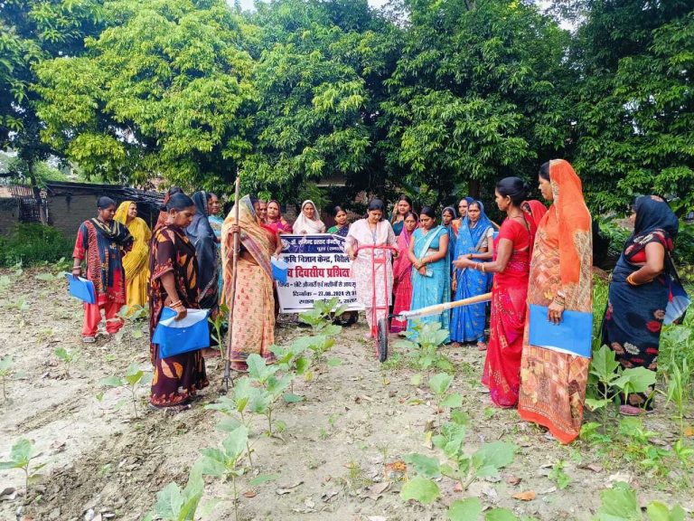 RPCAUniversity, Pusa, Samastipur: आटा चक्की का किसानों के बीच किया गया प्रत्यक्षण