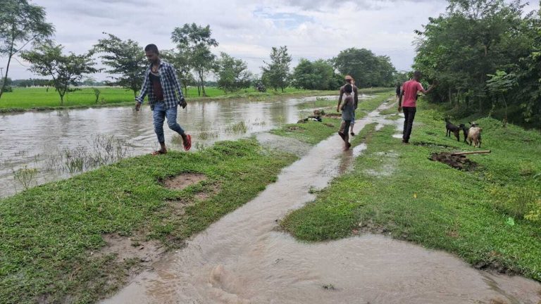 लालपुर केनाल नहर का पानी ओवरफ्लो, खेतों में लगी फसल डूबी
