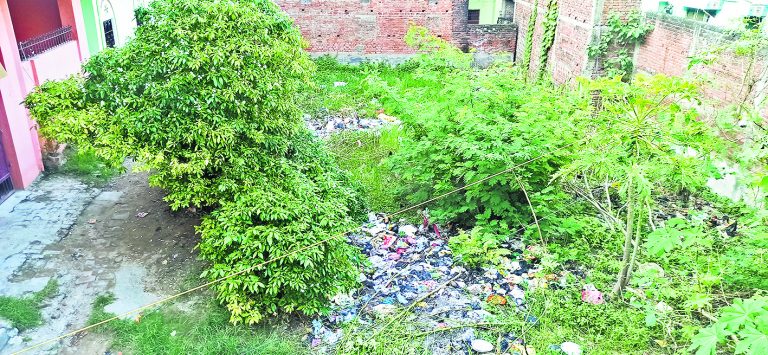 निगम में एग्रीमेंट के अनुरूप सफाई एजेंसियां नहीं कर रहीं काम