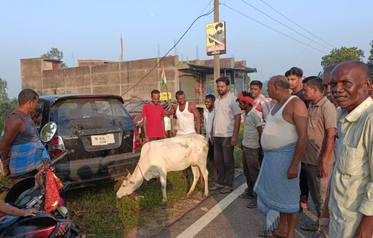 Giridih News: कार से मवेशी चोरी करने आये चोरों को ग्रामीणों ने खदेड़ा
