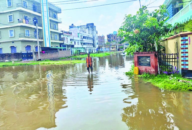 Chhapra News : जलजमाव पर ग्रीन ट्रिब्यूनल कोर्ट ने दिखायी सख्ती, छह सप्ताह में कार्रवाई की रिपोर्ट मांगी