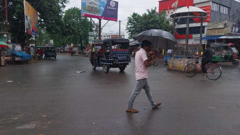 बारिश से धान को मिली संजीवनी, किसानों में लौटी मुस्कान