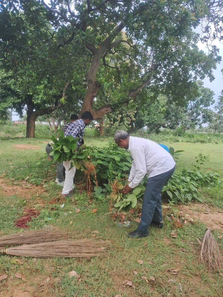 पबिया डायट परिसर में चला सफाई अभियान