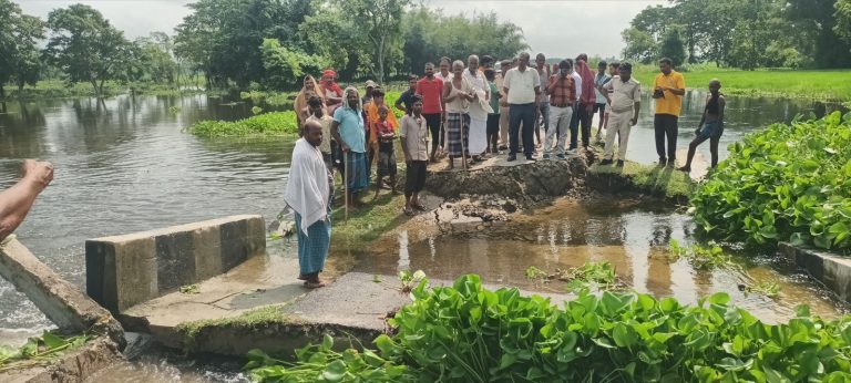 बोहरा पंचायत में बाढ़ के दबाव में चार वार्डों को जोड़नेवाला सड़क पुल ध्वस्त