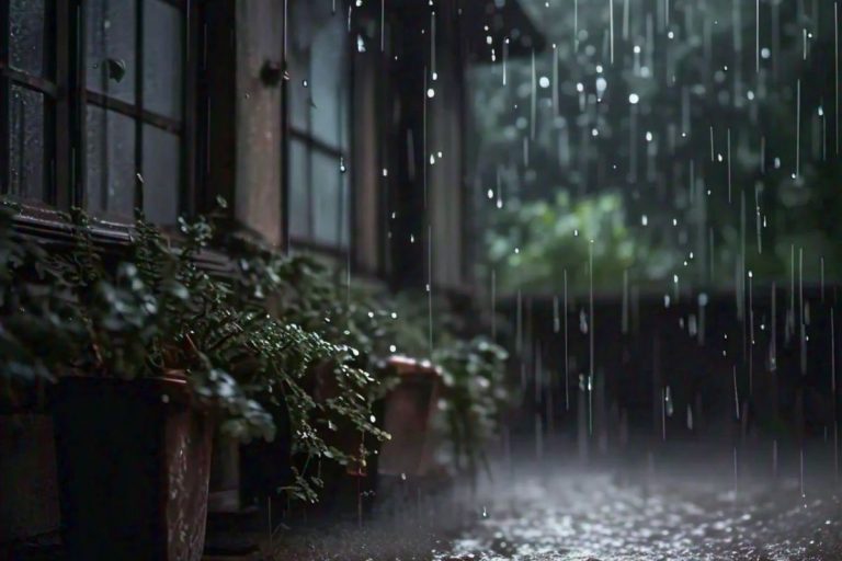 Jharkhand Weather Alert: बंगाल की खाड़ी में निम्न दबाव से झारखंड में भारी बारिश, येलो अलर्ट जारी